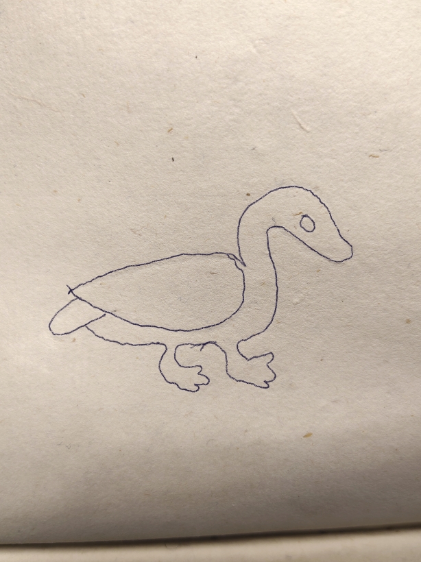 Duck or goose traced from manuscript