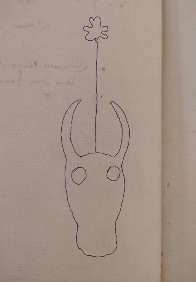 Bull with star or flower above its head traced from manuscript.
